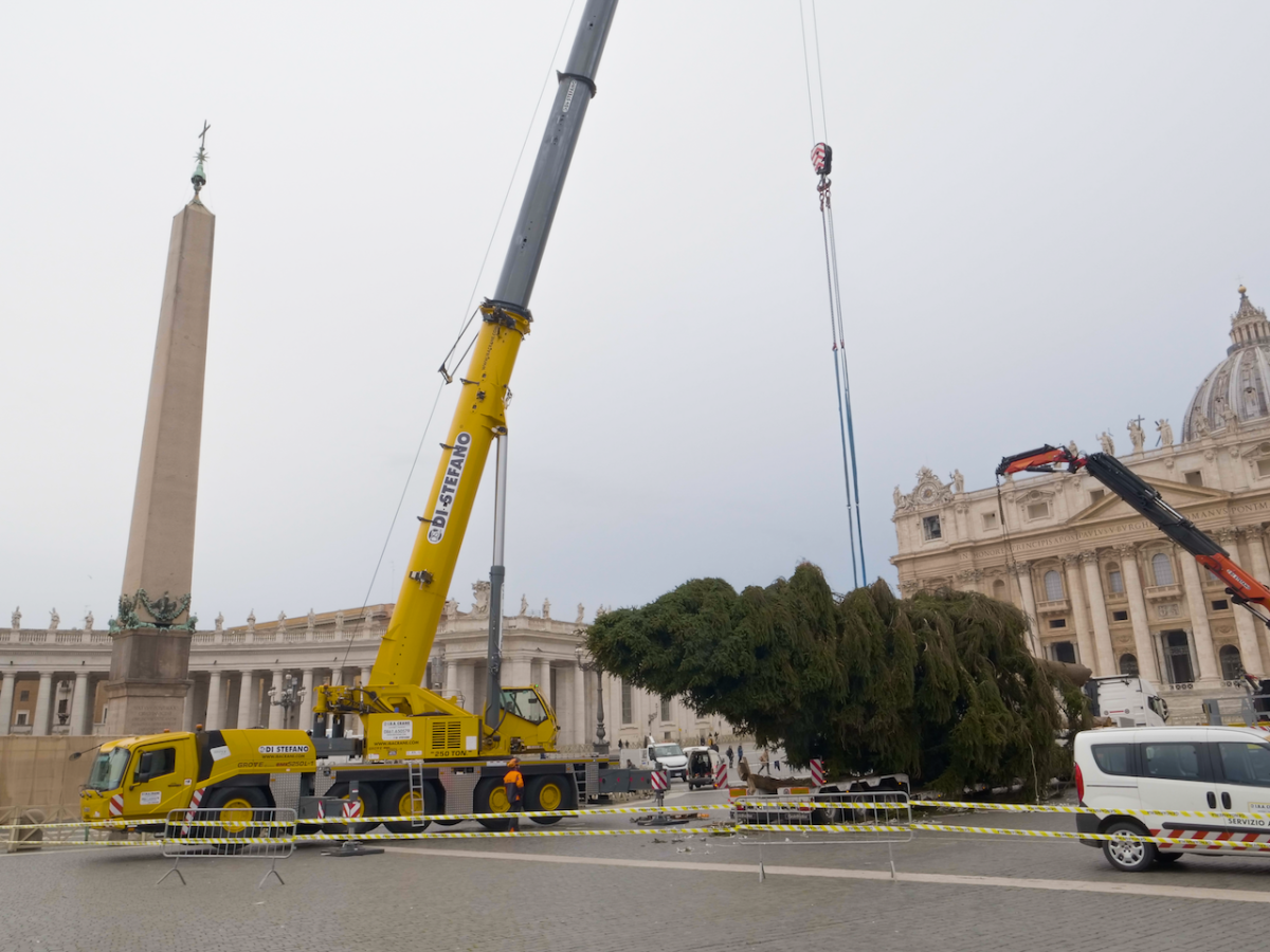 I.B.A. Crane ha issato l'albero di Natale in Vaticano utilizzando un'autogrù Grove GMK5250L-1