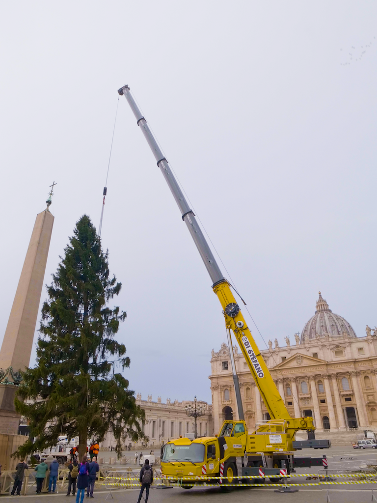 I.B.A. Crane ha issato l'albero di Natale in Vaticano utilizzando un'autogrù Grove GMK5250L-1