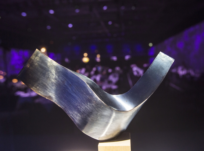 Un&rsquo;italiana tra i finalisti dello Swedish Steel Prize 2017
